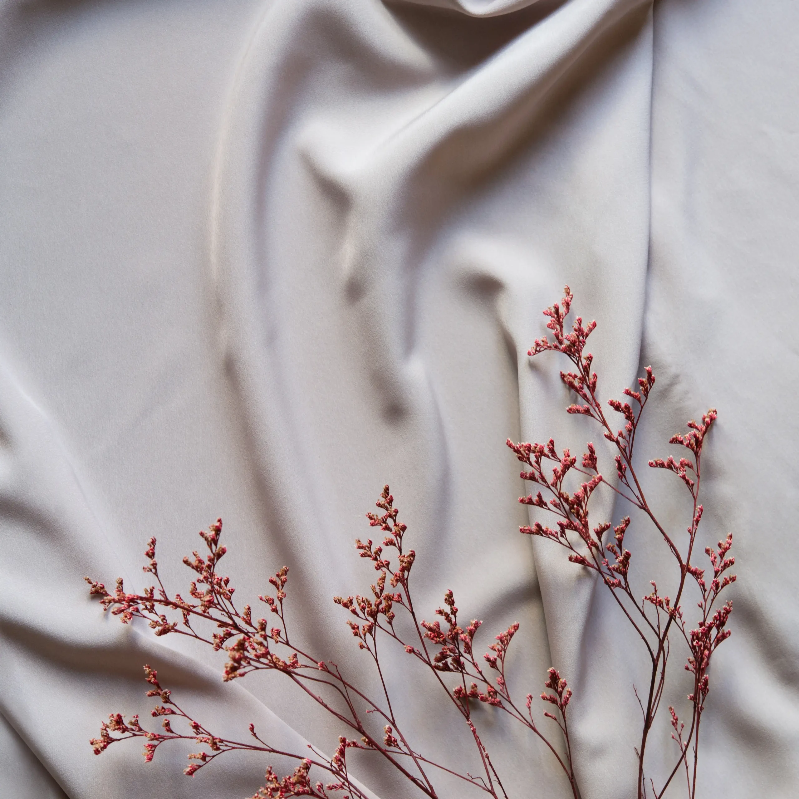 minimalistic-background-with-dry-flowers-on-pastel-2026-01-07-00-36-06-utc minimalistic-background-with-dry-flowers-on-pastel-2026-01-07-00-36-06-utc