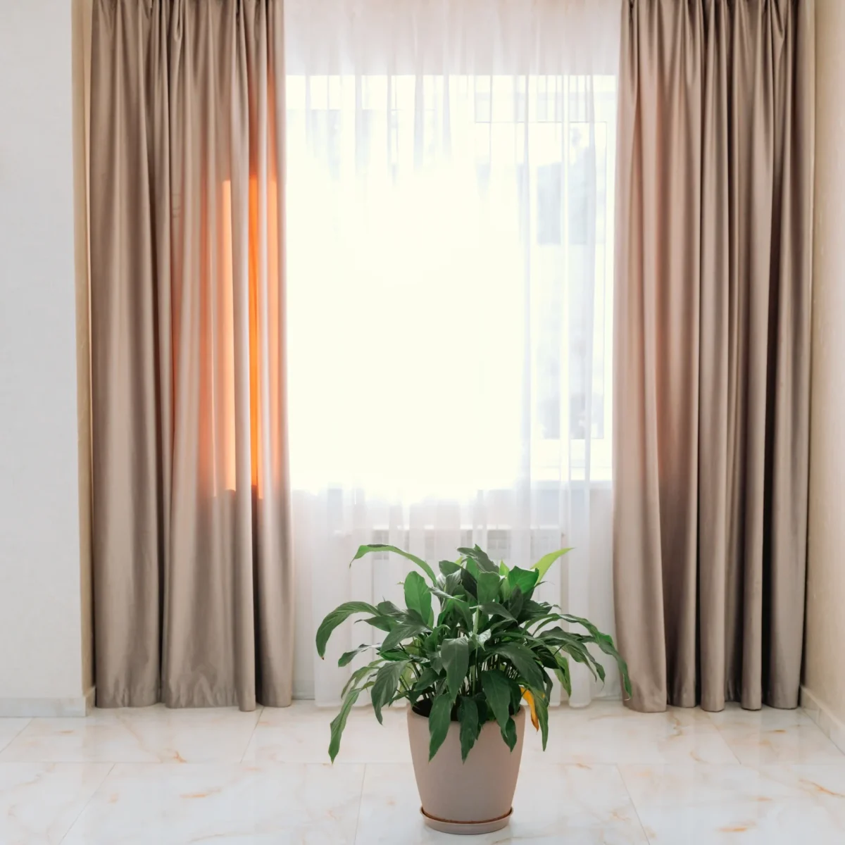 bright-living-room-with-elegant-curtains-and-a-vib-2026-01-09-12-34-47-utc