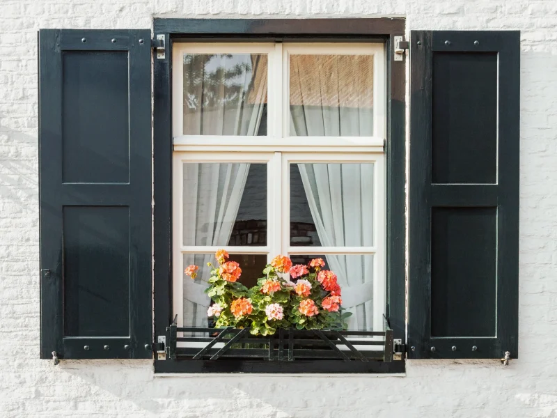 window-on-white-brick-wall-with-shutters-and-bloom-2026-01-07-06-20-34-utc